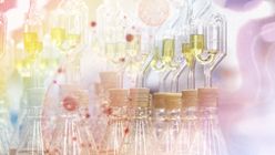 Biotech can Drive Beauty beyond Plant-based Ingredient-sourcing