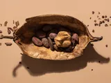 Is Cocoa Past Its Sell-By Date?